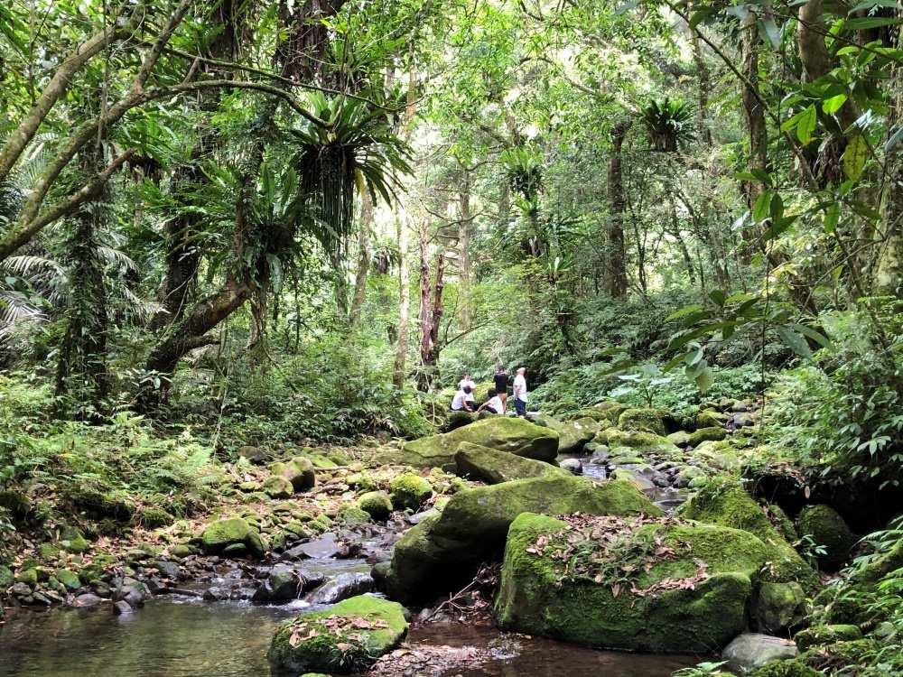 臺灣山林側寫（圖版提供：歐長坤）