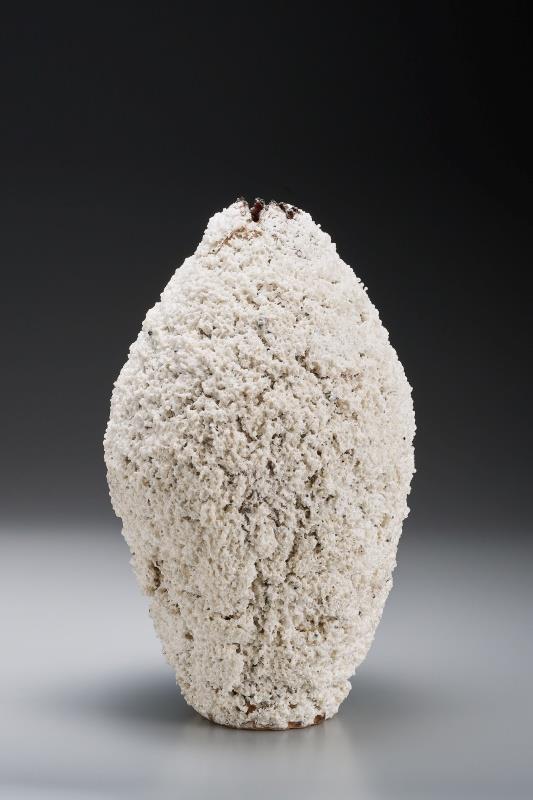 器皿組金獎 諸角拓海(日本) Strata 25x23x41cm